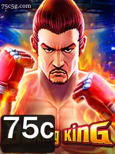 Explorando o Mundo de BoxingKing: Um Mergulho nas Regras e Dinâmicas do Jogo
